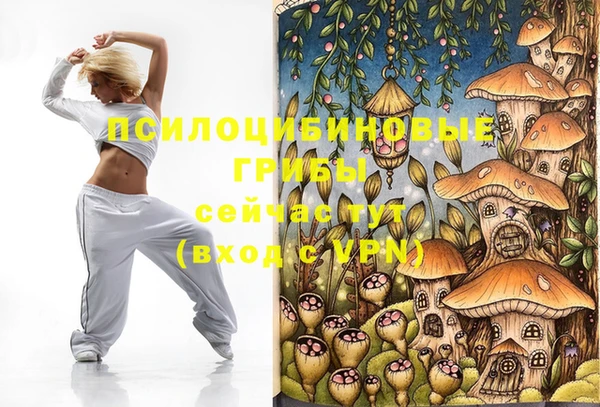 дмт Баксан