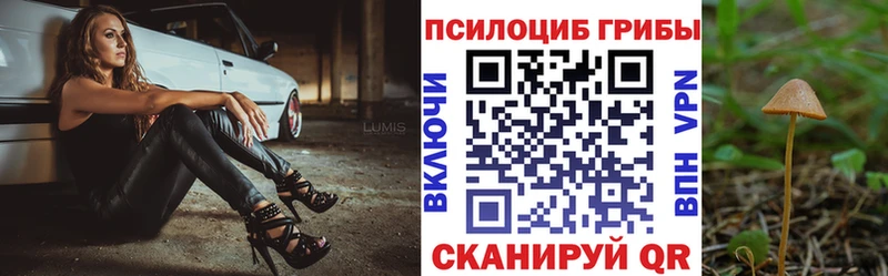 Купить где  Татарск  Галлюциногенные грибы Psilocybe 